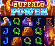 Buffalo Power: Hold and Win 